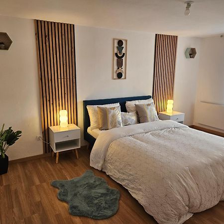 Spacieux Et Charmant Appartement De 47 M2 Шарлевиль-Мезьер Экстерьер фото