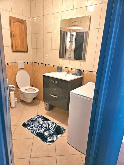 Spacieux Et Charmant Appartement De 47 M2 Шарлевиль-Мезьер Экстерьер фото